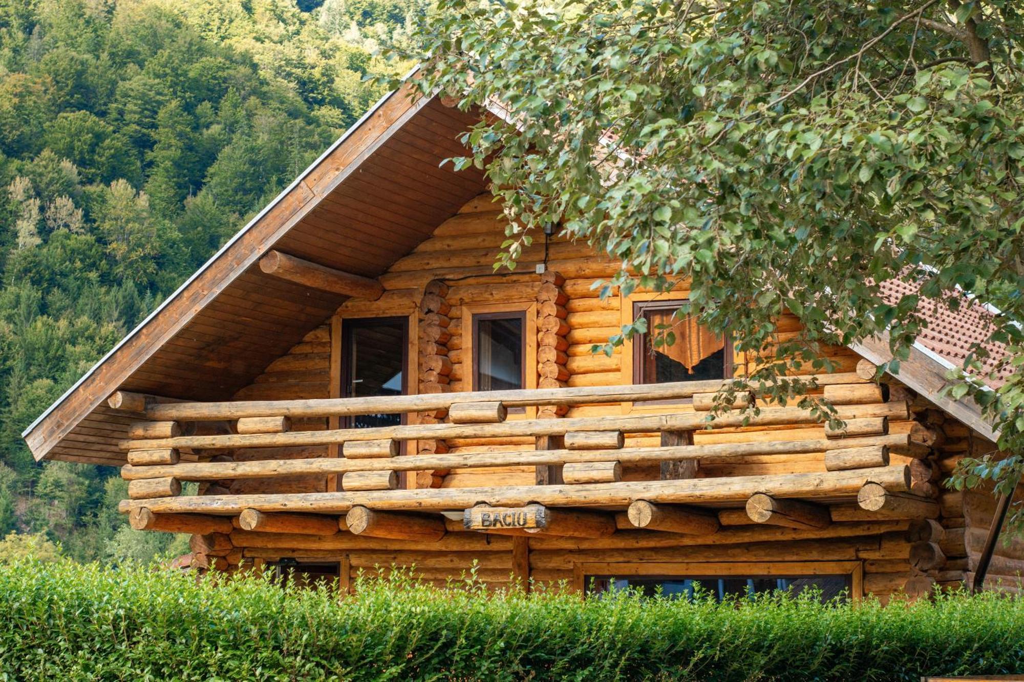 Resort 7 Crai - Cabana Baciu Zărneşti Extérieur photo
